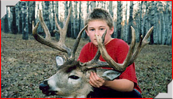 Trophy Whitetail Hunting with Trophy Stalkers